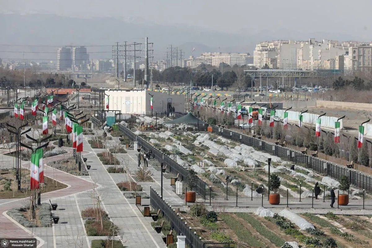 نخستین باشگاه کشاورزی شهری ایران در مشهد چهارساله شد