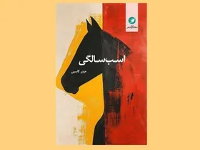 به نور ناامید ماه، به پرنده مادر | درنگی بر کتاب &laquo;اسب&zwnj;سالگی&raquo; اثر شاعر خراسانی