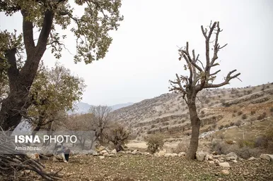 روستاهای زلزله زده اندیکا