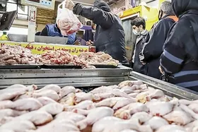 افزایش قیمت مرغ در مشهد (۵ مهر ۱۴۰۴) + جدول