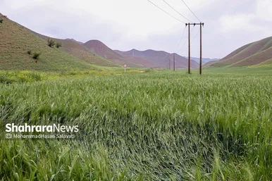 طبیعت زیبای ترکمن صحرا