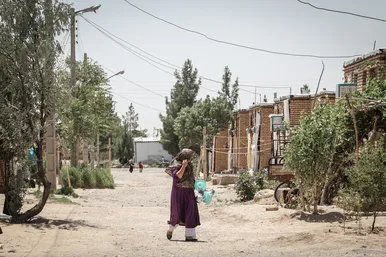 مهمانشهر تربت جام