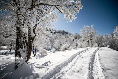ایران زیباست | گلستان برفی