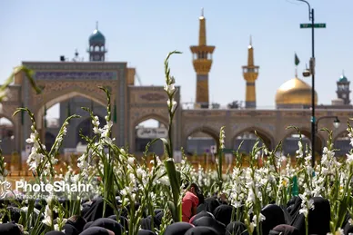 گلباران حرم مطهر رضوی در روز میلاد حضرت معصومه (س)