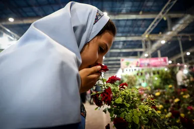 بیست و یکمین نمایشگاه بین‌المللی گل و گیاه