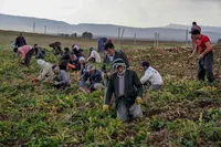 احتمال واریز «عیدی» مستمری‌بگیران صندوق روستاییان در هفته آینده | میزان عیدی چقدر است؟