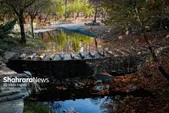 پیش‌بینی هواشناسی مشهد و خراسان رضوی امروز (یکشنبه، ۲۲ شهریور ۱۴۰۵) | بارش باران در ارتفاعات استان، البته شاید