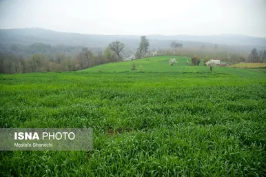 ایران زیباست | طبیعت بهاری روستاهای اطراف ساری