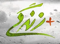 راه اندازی پرونده های سلامت اجتماعی محلات تحت پوشش بهزیستی | افزایش محلات در فاز دوم طرح