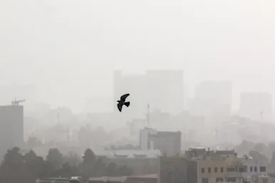  «مشهد» غرق در گرد و غبار شدید