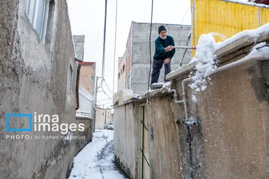 گزارش تصویری | برف در تبریز