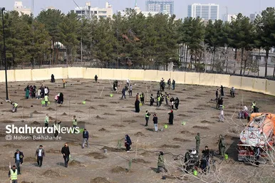 پویش سراسری درخت‌کاری در بوستان جهانشهر