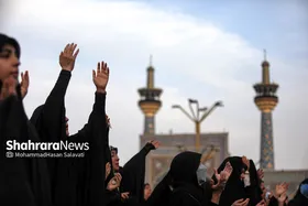 ویدئو| چهارپایه خوانی روز شهادت پیامبر خاتم(ص) و امام حسن مجتبی(ع) در حرم مطهر رضوی