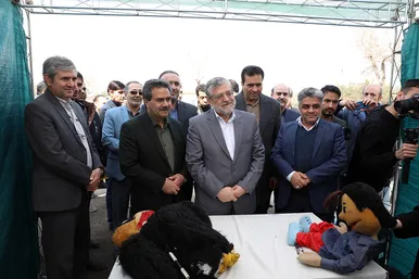 پویش سراسری درختکاری