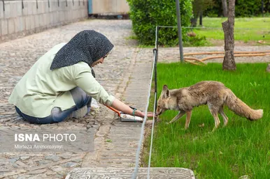 گزارش تصویری | ۲۵ فروردین، روز ملی عطار نیشابوری آرامگاه «شیخ فریدالدین عطار نیشابوری»
