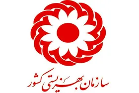 طرح شکایت بهزیستی به نهاد&zwnj;های بین المللی در پی آسیب به افراد تحت پوشش