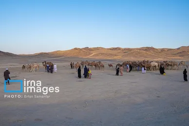 گزارش تصویری | سیستان و بلوچستان سرزمین باد و دریا