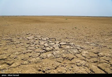 رهاسازی آب سد کرخه، از سوسنگرد تا هورالعظیم