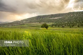 ایران زیباست | جنگل&zwnj;های بلوط لرستان