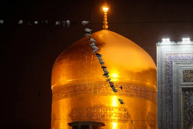 بارش برف در حرم مطهر رضوی