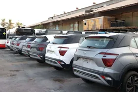 دولت و مجلس به وعده واردات خودرو عمل کردند؟