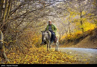 ایران زیباست | پاییز رنگارنگ کردستان