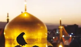 تهرانی&zwnj;ها بیشترین زائران امام رضا (ع)