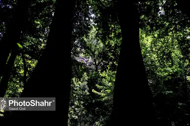 طبیعت «کلاته آهن»، روستایی زیبا در حوالی مشهد