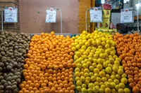 قیمت عمده‌فروشی میوه و صیفی‌جات در مشهد (۱۰ مهر ۱۴۰۳) | لیموشیرین به بازار آمد