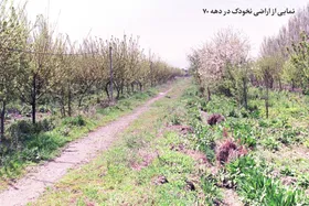 &laquo;نخودک&raquo;؛ مشهور ناشناخته! | مروری بر سرگذشت ناگفته محله&zwnj;ای قدیمی و معروف در مشهد که امروز دیگر رد و نشانی از آن نیست