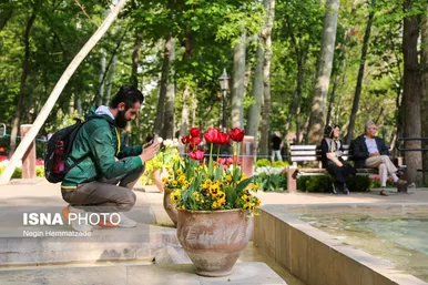 فصل لاله‌ها در باغ ایرانی