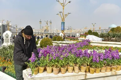 گل‌آرایی حرم مطهر رضوی در آستانه عید نوروز