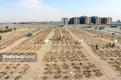 مراسم روز درختکاری در مشهد