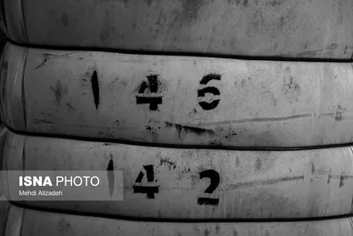 گزارش تصویری | برداشت پنبه در خراسان شمالی