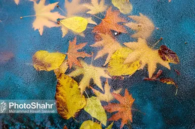 بارش اولین برف پاییزی در مشهدمقدس