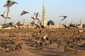 تاریخ شهادت امام حسن مجتبی (ع) هفتم یا ۲۸ ماه صفر است؟