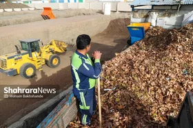 روایتی از فرایند فراوری برگ&zwnj; و  سرشاخه&zwnj;های درختان و  تولید خاک در مشهد| سرنوشت سبز برگ&zwnj;های زرد