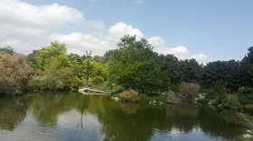 شهروند خبرنگار | نمایی زیبا از باغ گیاه شناسی مشهد