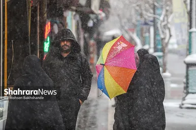 گزارش تصویری | بارش برف در مشهد (۲۱ بهمن ۱۴۰۳)