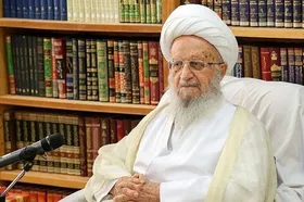 آیت&zwnj;الله مکارم شیرازی: مردم مشکلات را احساس می&zwnj;کنند اما حضور پای صندوق را فراموش نخواهند کرد