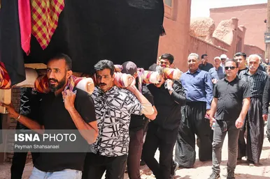 محرم ۱۴۰۴ | عکس‌هایی از نخل‌گردانی روز عاشورا در روستای تاریخی ابیانه - اصفهان
