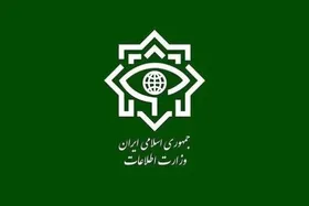 وزارت اطلاعات از ضربه سخت&nbsp;به گروهک&zwnj;های تروریستی در جنوب شرق کشور خبرداد