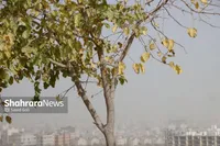 صدور هشدار سطح زرد هواشناسی در پی پیش‌بینی تشدید دوباره آلودگی‌ها در مشهد (یکم آبان ۱۴۰۴)