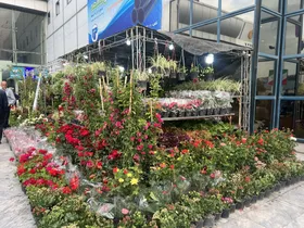 &zwnj;نمایشگاه گل و گیاه مشهد بستری برای ارتباط مستقیم تولید&zwnj;کننده و مصرف&zwnj;کننده است