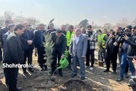 شهردار مشهد: شهرداری مقابل منزل شهروندان درخت رایگان می&zwnj;کارد + فیلم