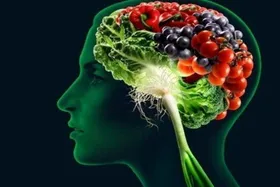 برای سالم نگه&zwnj;داشتن مغز، چه رژیمی بگیریم؟