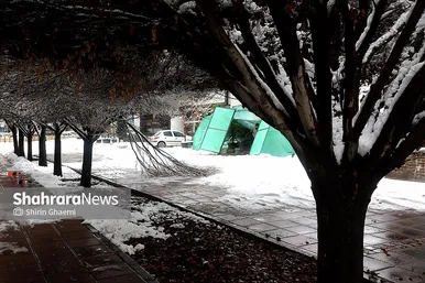 گزارش تصویری | شکستگی درختان در مشهد بر اثر بارش برف