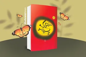 معرفی کتاب نوجوان | دزدی که پروانه شد