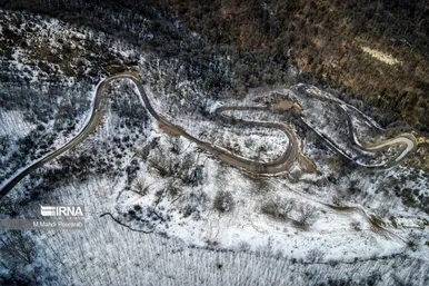 گلستان در زمستان