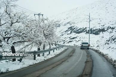 گزارش تصویری | حال و هوای مردم در اولین بارش برف پاییزی